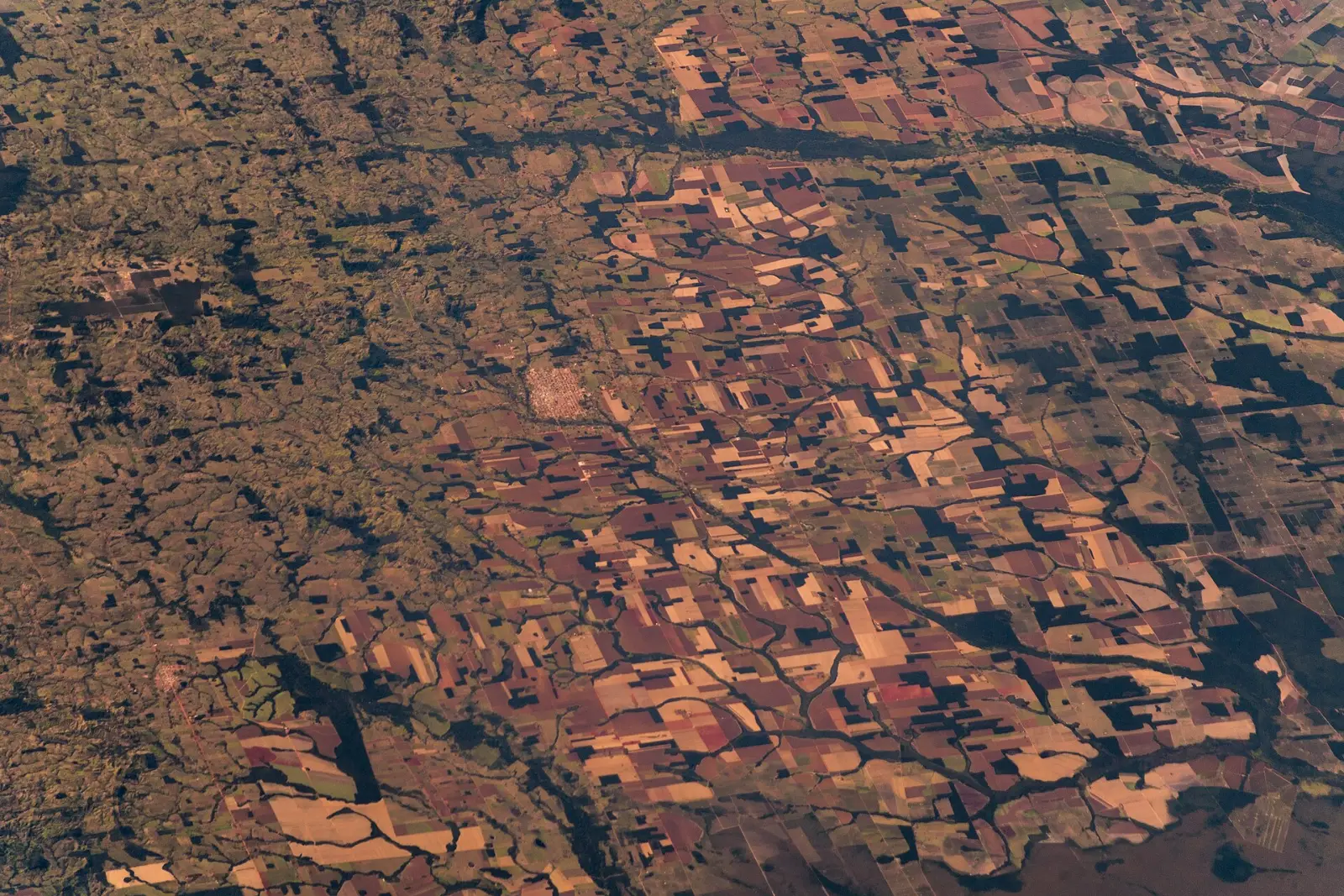Satellietbeeld van regenwoud dat in rechte blokken is gekapt